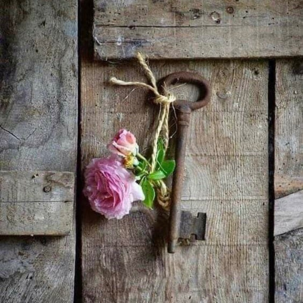 My Daughter's Closet @ldactx 💠 OVER 300 WESTERN LISTINGS